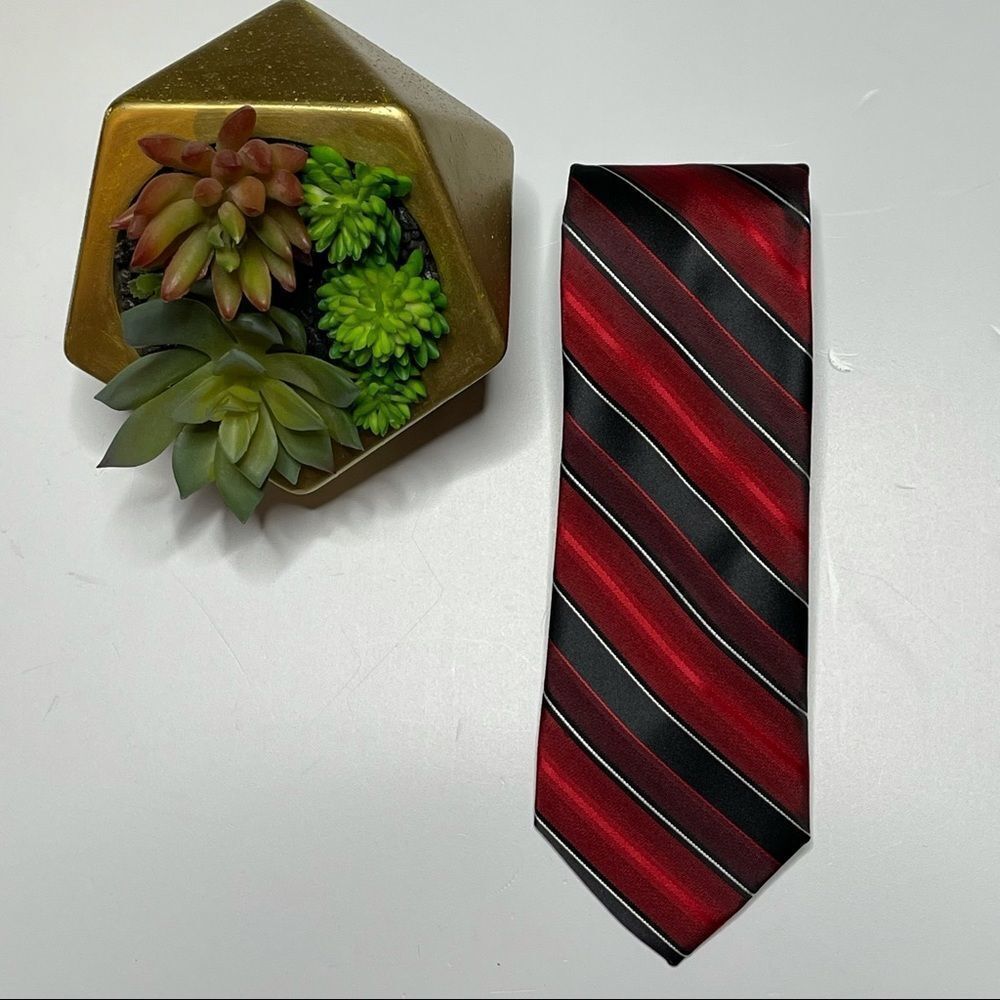 Pierre Cardin Diagonal Stripe Tie